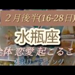 ２月後半(16-28日)水瓶座 全体 恋愛(両思い、片思い、好きな人居ない方別) 起こること！  ２択リーディング