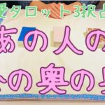 【真実を知りたい方へ】恋愛タロット3択_あの人の心の奥の奥_バランガン_いち木しま馬