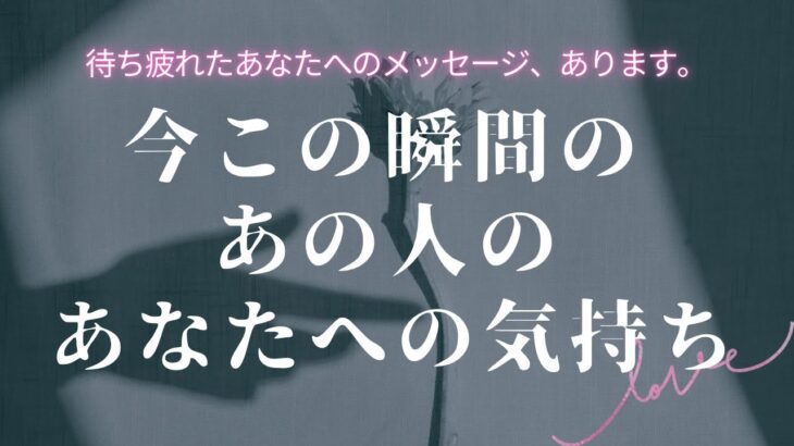 【 待ち疲れたあなたへ 】今この瞬間のあの人のあなたへの気持ち 【 恋愛・タロット・オラクル・占い 】