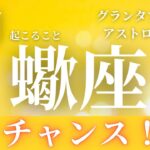 2025年2月【蠍座】起こること～チャンス！！～【ルノルマンカードグランタブロー＆オラクルカードリーディング】