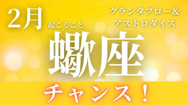 2025年2月【蠍座】起こること～チャンス！！～【ルノルマンカードグランタブロー＆オラクルカードリーディング】