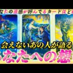 【本気で言ってます❤️】あの人は会いたいと思ってる？いつ会えるの？あの人の今の気持ち 本音で思っていること 個人鑑定級✨タロット占い