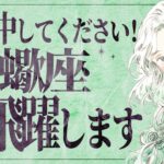 【蠍座】信じられますか…？もう凄いです✨想像を超えてください💐【運勢タロット占い】