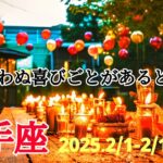 【2月前半 運勢 射手座】くりかえしだった日常が鮮やかに輝き出す！🌿🕊✨【いて座】【タロット】【開運】【占い】