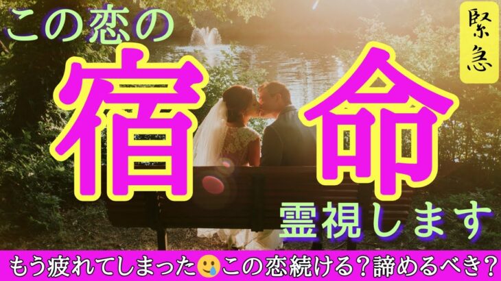 【緊急リーディング🚨】釣りナシ神回あり😭💖ある選択肢の方、例え離れても、何があっても2人は一緒になる宿命とでています☯️〔ツインレイ🔯霊感霊視🔮サイキックリーディング〕