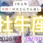 【3月上旬奇跡❗️の大どんでん返し】牡牛座　2025年タロット占い✨とてつもない連絡#タロット#タロットカード#占い#運勢#3月#牡牛座