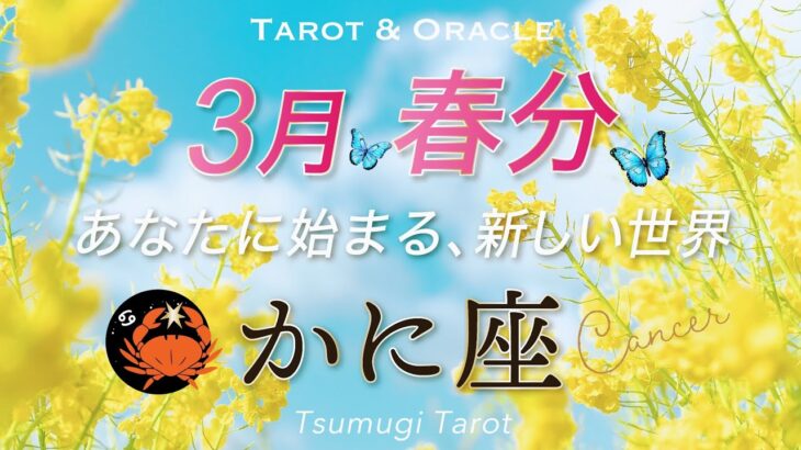 【蟹座♋️春分3/20】大変化の予兆👏豊かさの土台を創る春🌸プロフェッショナルの領域へ。