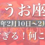 【うお座】週間リーディング（2025年2月10日〜2月16日）夜明け！強すぎる…やっと全てが明らかに