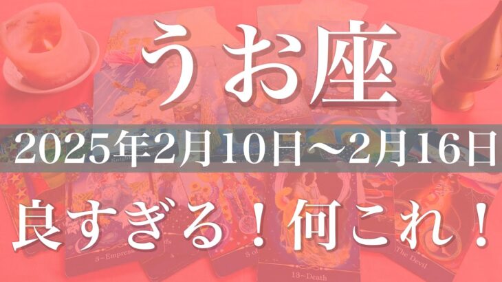 【うお座】週間リーディング（2025年2月10日〜2月16日）夜明け！強すぎる…やっと全てが明らかに