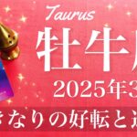 【おうし座】2025年3月♉️ 成就と完結！身を結びそう！探していた出口を見つける、引き受ける、固まりだす土台