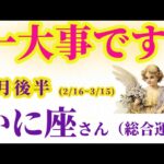 【蟹座の総合運】2025年2月16日から3月15日までのかに座の総合運。#蟹座 #かに座