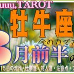 新しい出会いにもワクワク！？💓牡牛座♉️さん【3月前半の運勢✨1日〜15日の流れ･仕事運・対人運・注意点・アドバイス】#2025 #タロット占い #星座別