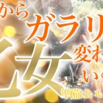 【おとめ座】🔮これからガラリと変わっていくこと♍️運命が大きく動き出すほどの変化❗️もう安心しても大丈夫🧡安定と信頼関係の乙女座さん☺️