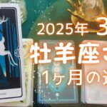 牡羊座さん♈️2025年3月の運勢タロットリーディング✨【お久しぶりです！】