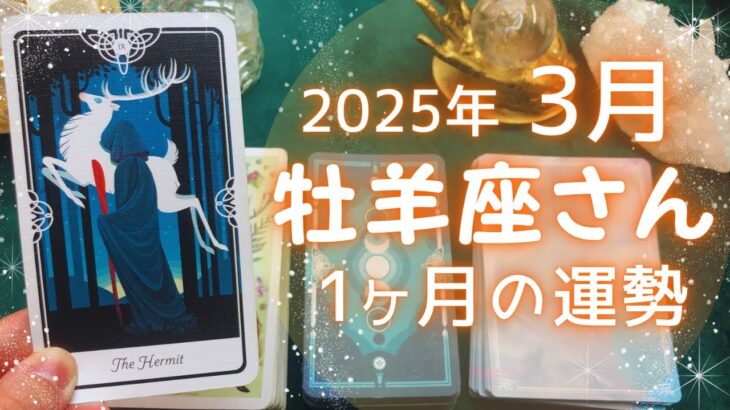 牡羊座さん♈️2025年3月の運勢タロットリーディング✨【お久しぶりです！】