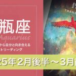 【みずがめ座】劇的な出会い・本物・単純だけどそれが全て●2025年2月後半から3月前半タロットリーディング【音声なし】【水瓶座】