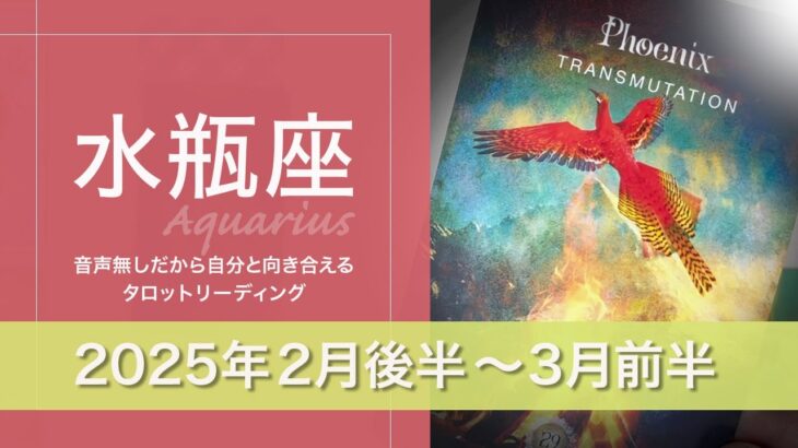 【みずがめ座】劇的な出会い・本物・単純だけどそれが全て●2025年2月後半から3月前半タロットリーディング【音声なし】【水瓶座】