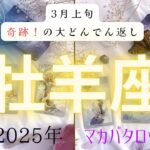 【3月上旬奇跡❗️の大どんでん返し】牡羊座2025年タロット占い✨とてつもない連絡#タロット#タロットカード#占い#運勢#3月#牡羊座