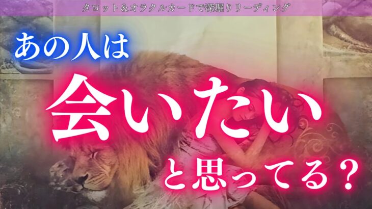 【神回⚡動画中見てる時に連絡来る方が！！】あの人は会いたいと思ってる？ 連絡してくれる？あの人の気持ちは？タロット オラクルカードで深掘りリーディング✨