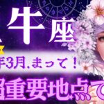 【牡牛座】3月♉️大大大大正解‼️運命が切り替わる前夜祭✅具体的アドバイス✅新世界へ行く牡牛座さんの超重要起点が今です✋【星読みタロット】