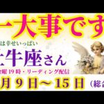 【牡牛座】2025年2月9日から15日までのおうし座の総合運。#牡牛座座 #おうし座