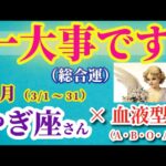 【山羊座の総合運】2025年3月のやぎ座の総合運。#山羊座 #やぎ座