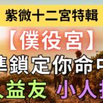 紫微十二宮之【僕役宮】普通人如何挑選經營貴人益友，與排除小人損友？麥可大叔30年紫微斗數算命命理老師