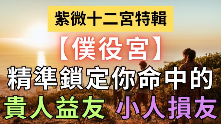 紫微十二宮之【僕役宮】普通人如何挑選經營貴人益友，與排除小人損友？麥可大叔30年紫微斗數算命命理老師