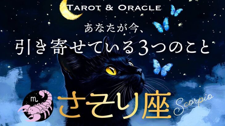 【蠍座♏️見た時がタイミング】あなたが今、引き寄せている３つのこと