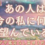 【見た時がタイミング🔔】相手があなたに望む事❤️ツインレイ/ソウルメイト/運命の相手/複雑恋愛/曖昧な関係/復縁/片思い/音信不通/ブロック/未既読スルー/好き避け/恋愛/結婚/占い/リーディング霊視