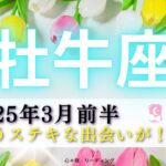 【おうし座3月前半】気の合うステキな出会いが🧚🏻‍♀️🌈牡牛座さんのかっこいい姿も‼️心のワクワクが重要🏵️