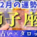 【2月運勢 獅子座】最強運気きてます🔥ラッキーなことがたくさん起こりそうです✨【占い・占星術・タロット・2025】