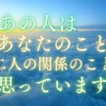 今あの人はあなたのこと・2人の関係をどう思っていますか？ 【 恋愛・気持ち・タロット・オラクル・占い 】