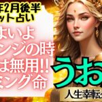 【♓魚座さん💖2025年2月後半運勢】〈自分のやりたかった事に思い切ってチャレンジ‼我慢するなんてもったいない！タイミングを大切に💖〉 人生幸転タロットリーディング 占い うお座 太陽星座・月星座