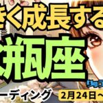 【水瓶座】♒️2025年2月24日の週♒️大きく成長する。切り替えの時が来た。そして大復活する。みずがめ座。タロット占い