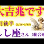 【獅子座の総合運】2025年2月16日から3月15日までのしし座の総合運。#獅子座 #しし座