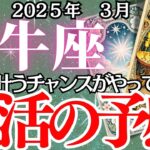 【牡牛座】3月おうし座の運勢｜ついに願いが叶う時…3月の牡牛座は最高の展開に！？でも、見逃してはいけないポイントが！