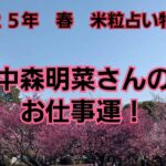 25,02,14中森明菜さんのお仕事運！～米粒占い(台湾流易学)～