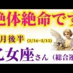 【乙女座の総合運】2025年2月16日から3月15日までのおとめ座の総合運。#乙女座 #おとめ座