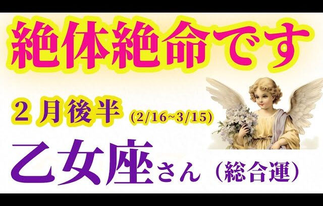 【乙女座の総合運】2025年2月16日から3月15日までのおとめ座の総合運。#乙女座 #おとめ座