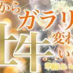 【おうし座】🔮これからガラリと変わっていくこと♉️目覚め・開花🧡最高の変化‼️あなたに寄り添ってくれる存在…とても素敵な牡牛座さん✨☺️