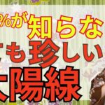 【成功者の証】薬指の下に注目！ずば抜けて凄い太陽線をご紹介！幸せを掴む力を持っている手相です！