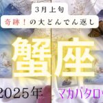 【3月上旬奇跡❗️の大どんでん返し】蟹座2025年タロット占い✨とてつもない連絡#タロット#タロットカード#占い#運勢#3月#蟹座