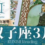 双子座♊3月運勢✨喜びの変化や祝福が訪れ幸せ！🌟現状🌟仕事運🌟恋愛・結婚運🌟ラッキーカラー🌟開運アドバイス🌝月星座ふたご座さんも🌟タロットルノルマンオラクルカード