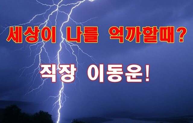 자미두수 풀이 직장운