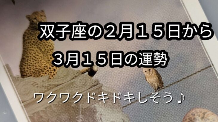 「双子座さん」２月１５日から３月１５日までの運勢♪エネルギーの高い時です✨好きな事に打ち込みましょう✨✨✨💫