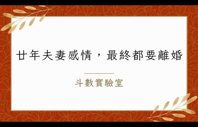 斗數實驗室×命例解說I 廿年夫妻感情，最終都要分開離婚（廣東話）上集