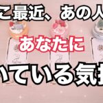 ハッキリ教えてくれました🥲ここ数日あの人があなたに抱いていた気持ち。怖いくらい当たる♥️恋愛タロット占い ルノルマン オラクルカード細密リーディング