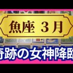 【魚座♓3月運勢】うわっすごい！個人鑑定級のグランタブローリーディング✨まさかの大逆転　お誕生日シーズンならではの奇跡！理想の未来へ飛び立つ時（仕事運　金運）タロット＆オラクル＆ルノルマンカード