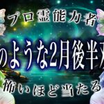 【2月後半🔮双子座】運勢がヤバいから絶対見て。今から楽しみすぎる…